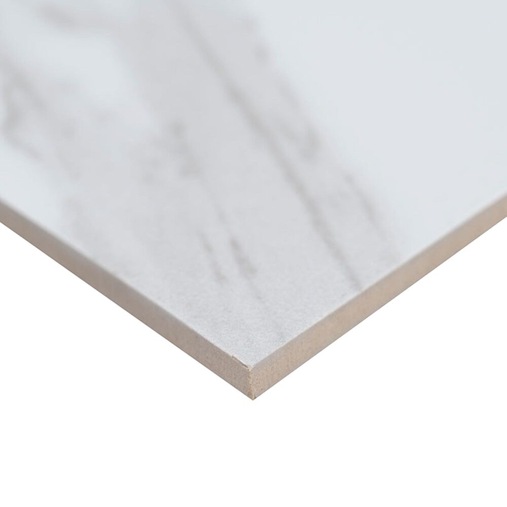 MS International Eden Statuary 12&quot; x 24&quot; Matte Porcelain Tile, , large