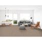 Dixie Home Simplicity Carpet in Statement, , large