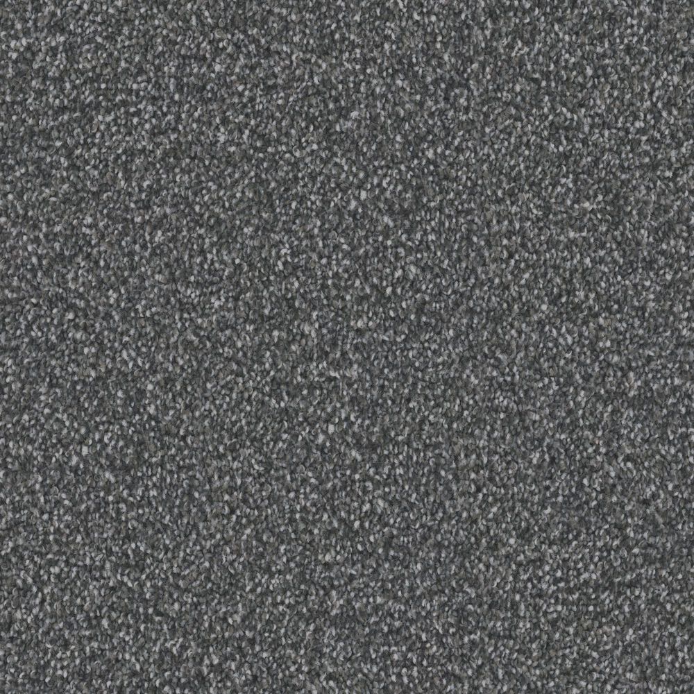 Dixie Home Devotion Carpet in Ebony, , large