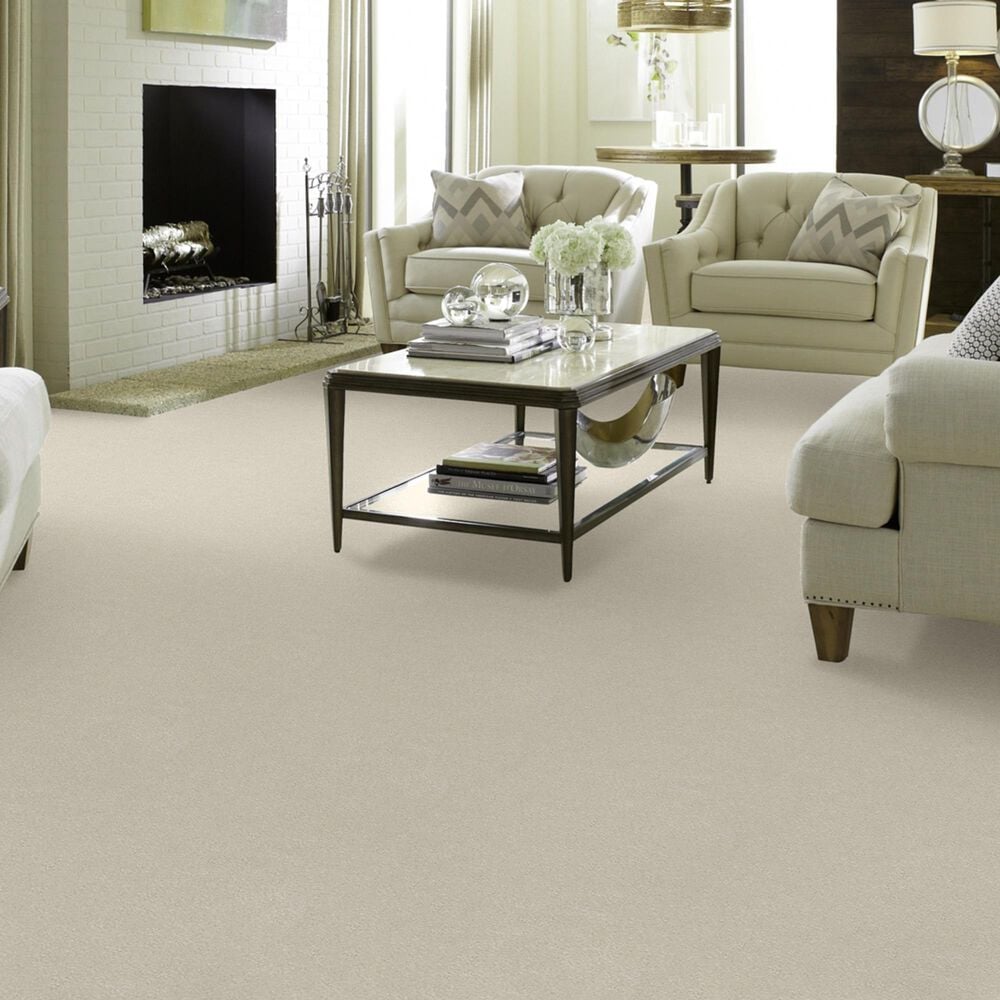 Shaw Foundations Take The Floor Texture II Carpet in Modern Loft, , large