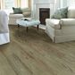 Shaw Exquisite Brightened Oak Hardwood, , large