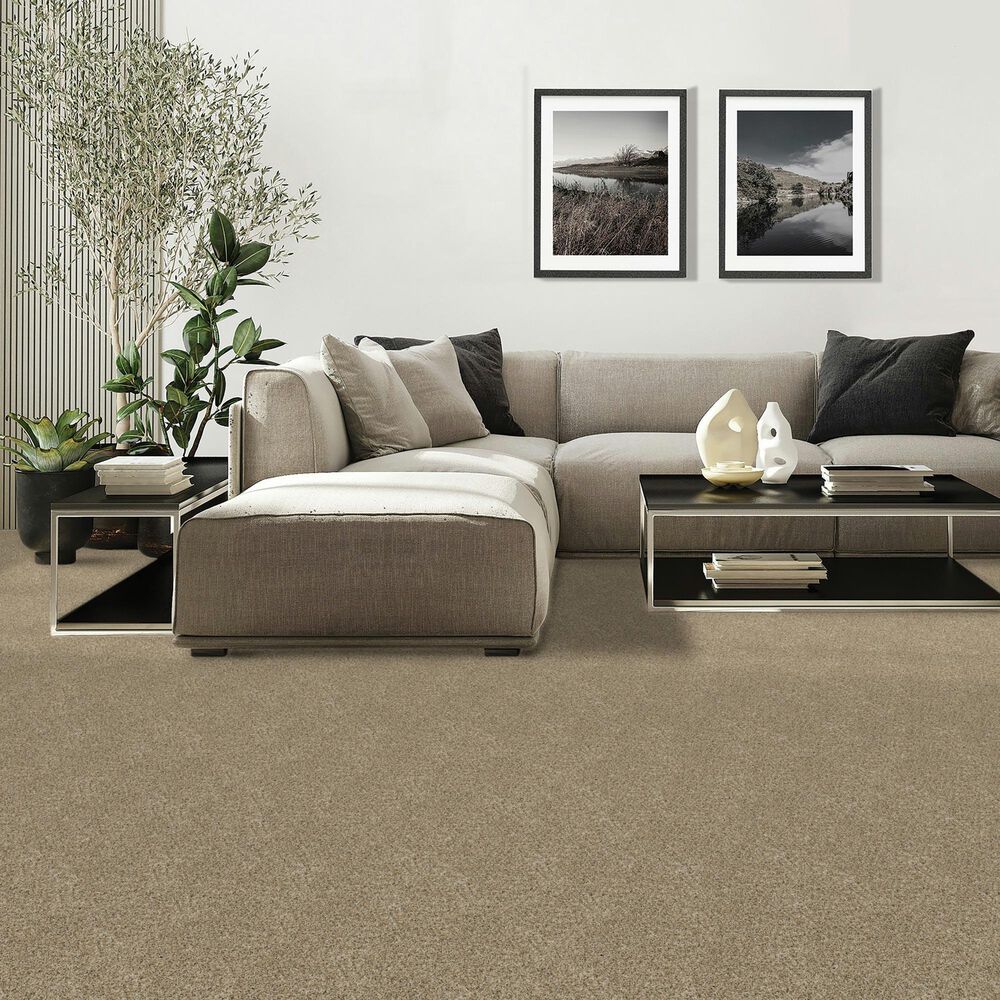 Mohawk Diffurent Choice II Carpet in Bisque, , large