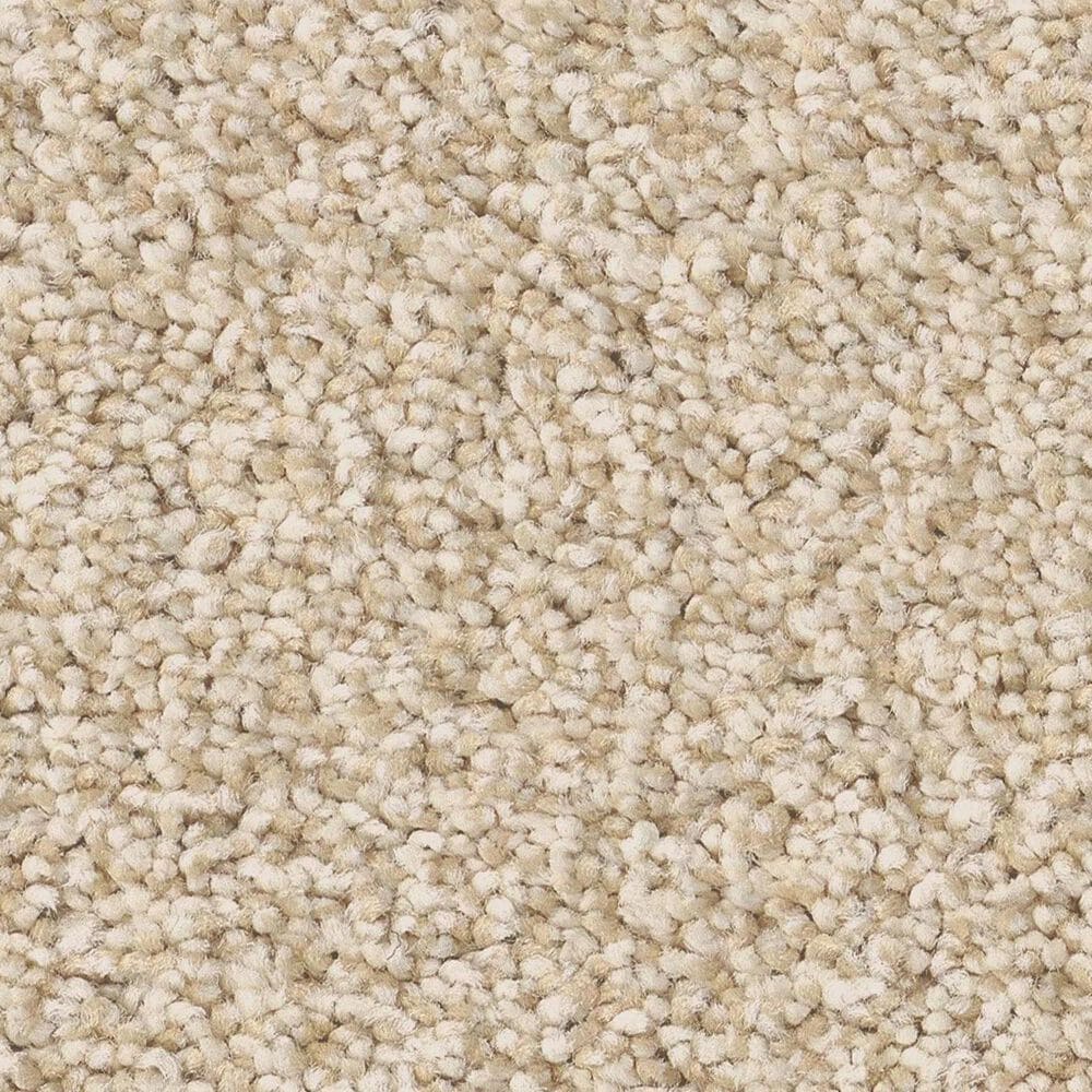 Anderson Tuftex Avalon Bay Carpet in Risotto, , large