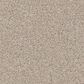 Shaw Abilene II Carpet in Pencil Sketch, , large