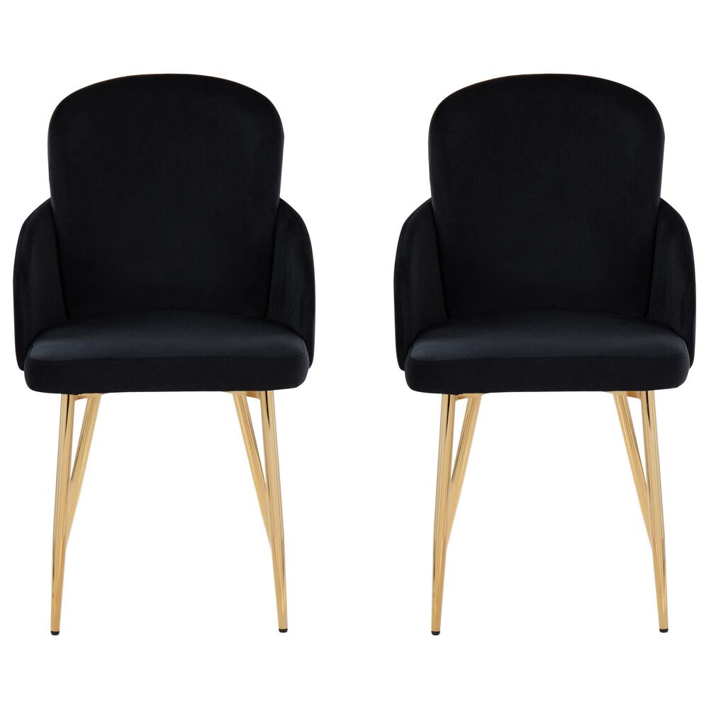 Lumisource Dahlia Dining Arm Chair with Black Velvet Cushion in Gold &#40;Set of 2&#41;, , large