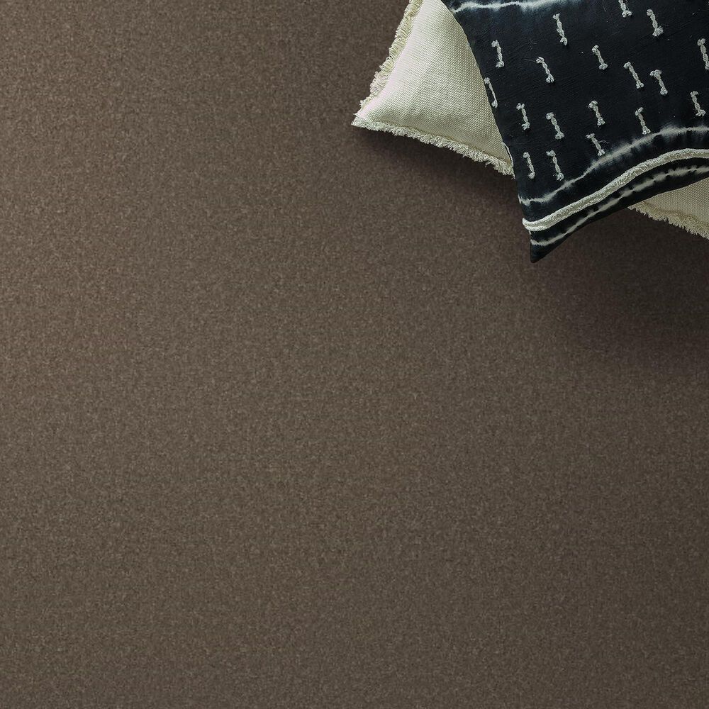 Anderson Tuftex Enduring Charm Carpet in Moonbeam, , large