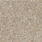 Shaw Good Move I Carpet in Practical Beige, , large