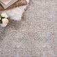 Safavieh Webster WBS332G 4" x 6" Grey and Beige Area Rug, , large