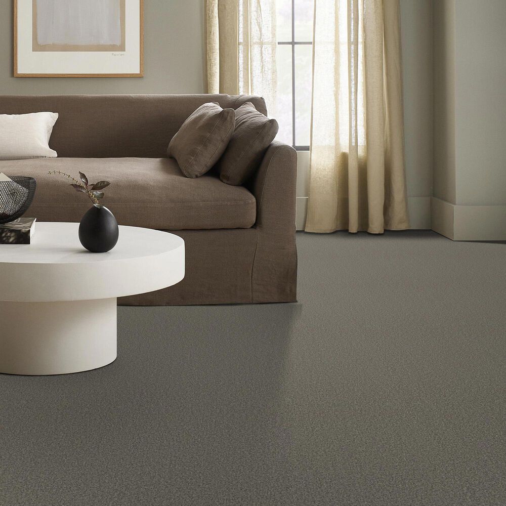 Anderson Tuftex Somerset Carpet in Flannel Gray, , large