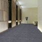 Shaw Rousing Review Carpet in Thrilling, , large