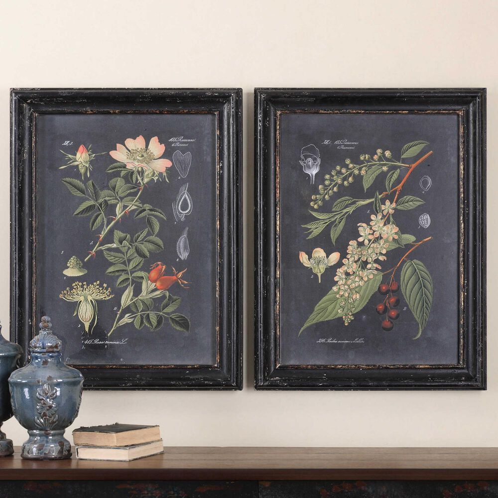 Uttermost Midnight Botanicals Wall Art (Set of 2), , large