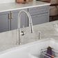 Blanco Empressa Pull-Down Kitchen Faucet 1.5 GPM in PVD Steel, , large