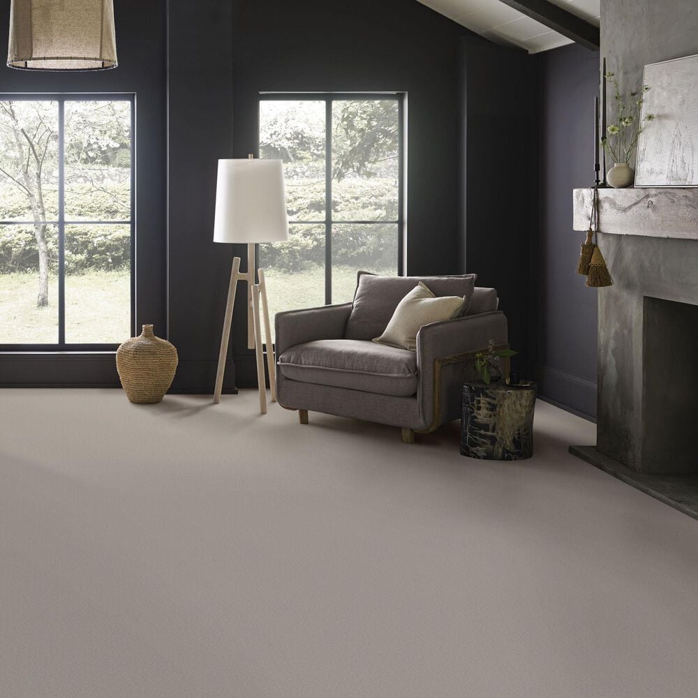 Anderson Tuftex Finery Carpet in Concrete, , large