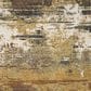 Oriental Weavers Caravan Abstract Mixup 7"10" x 10"10" Gold and Beige Area Rug, , large