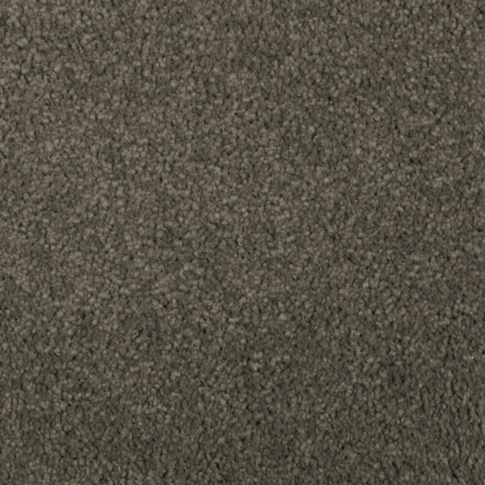 Mohawk Windsor Gardens I Carpet in Pine Needle, , large