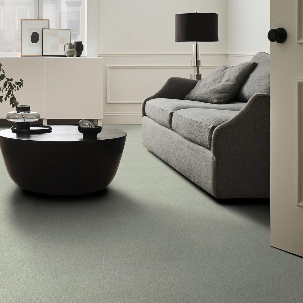 Shaw Tonal Comfort I Carpet in Willow Tree, , large
