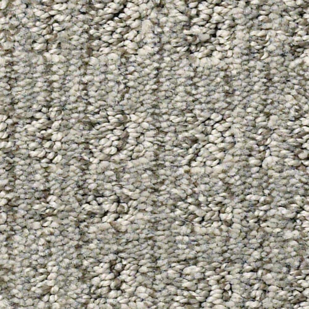 Anderson Tuftex Purrsuasion Carpet in Backdrop, , large
