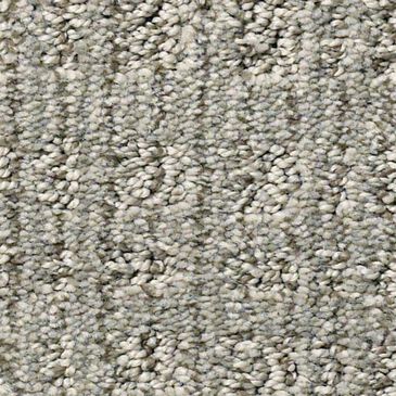 Anderson Tuftex Purrsuasion Carpet in Backdrop, , large