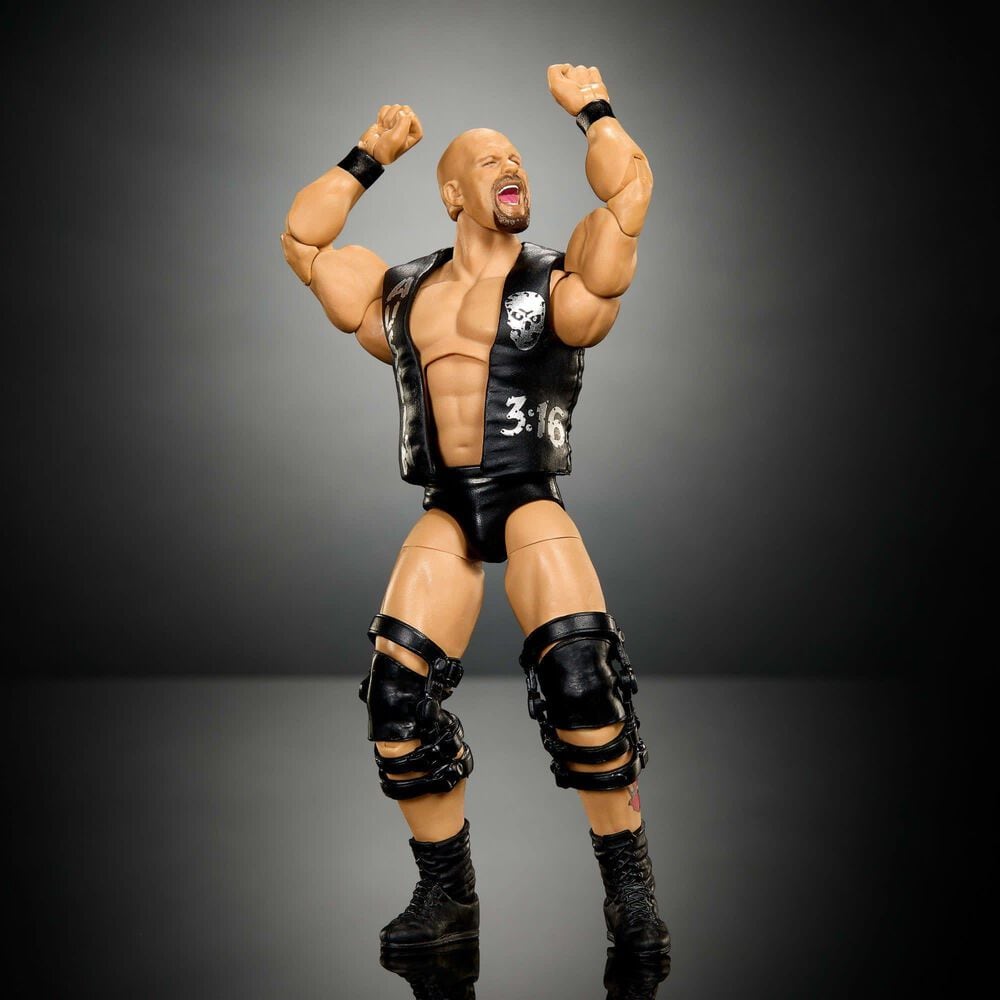 WWE Premium Live Event Stone Cold Steve Austin Action Figure Set, , large