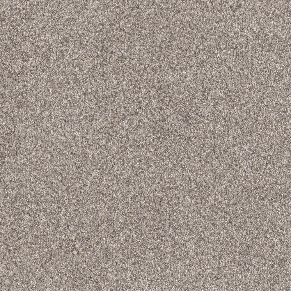 Dream Weaver Affinity IV Carpet in Mesa, , large