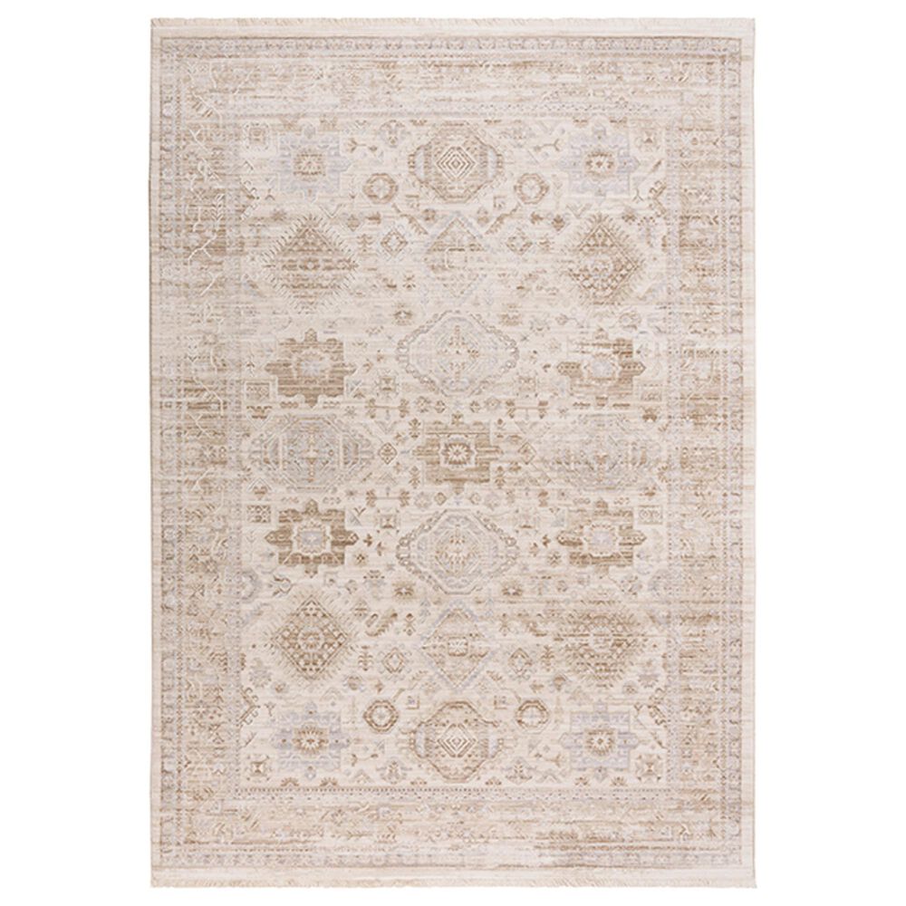 RIZZY Iconic 3"11" x 5"6" Neutral and Gray Area Rug, , large
