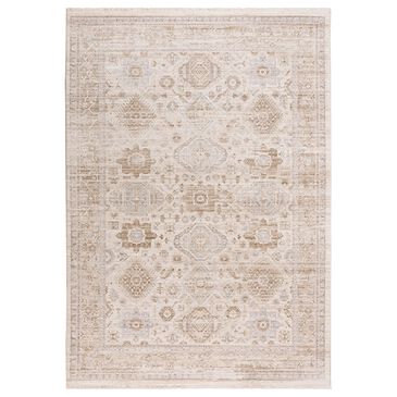 RIZZY Iconic 3"11" x 5"6" Neutral and Gray Area Rug, , large