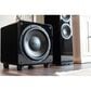 SVS 13" 800W Subwoofer in Gloss Black, , large