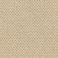 Masland Festivities Carpet in Chardonnay, , large