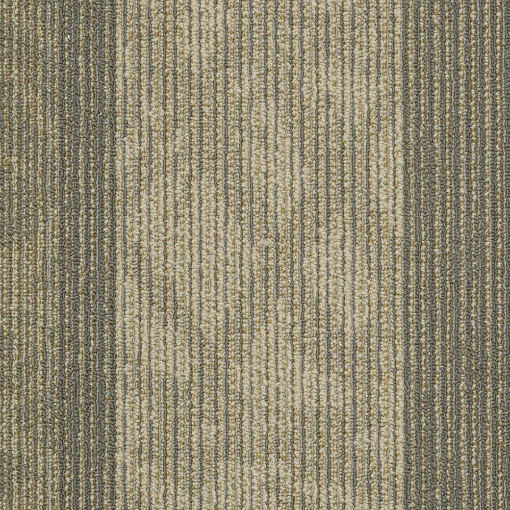 Shaw Feedback 24" x 24" Carpet Tile in Receiver, , large