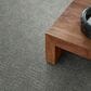 Anderson Tuftex Diego Carpet in Swept Away, , large