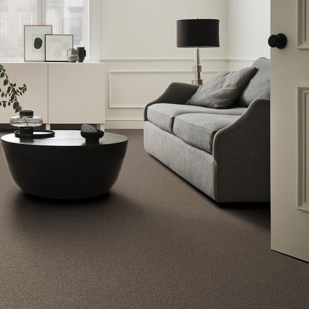 Anderson Tuftex Terra Nova Carpet in Palm Desert, , large