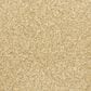 Masland Classical Carpet in Encore, , large