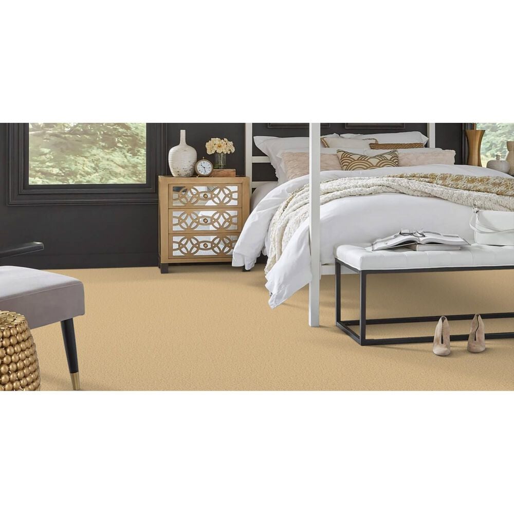 Masland Miami Carpet in Ambiance, , large