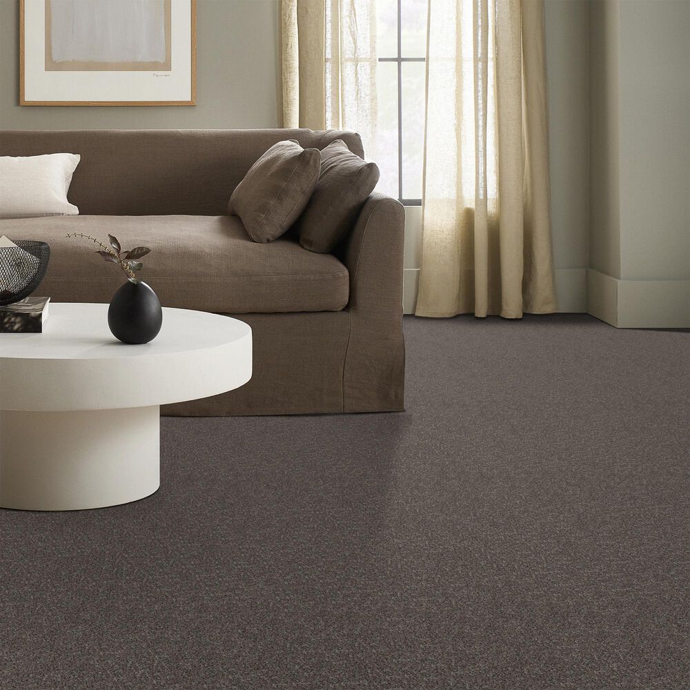 Shaw Higher Ground II Carpet in Flint, , large