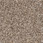 Shaw Truspirit Ii Carpet in Cottage, , large