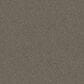 Shaw Without Limits I Carpet in Travatan, , large