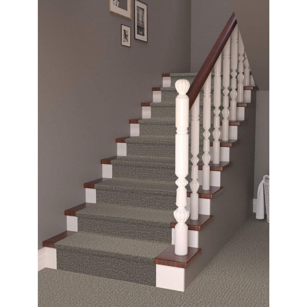 Masland Offspring Carpet in Brad Pitbull, , large