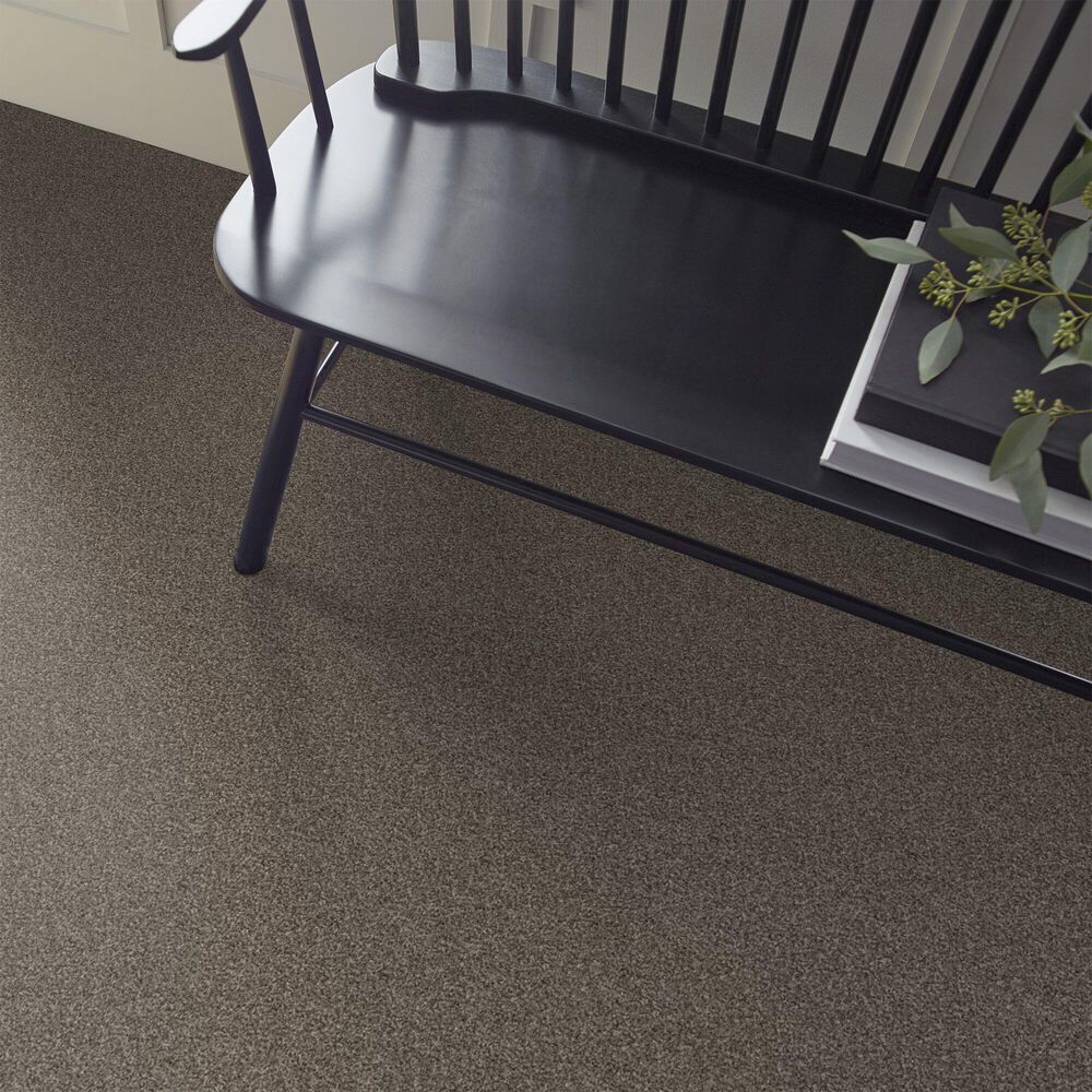 Shaw Yes You Can II Carpet in Urban Rustic, , large