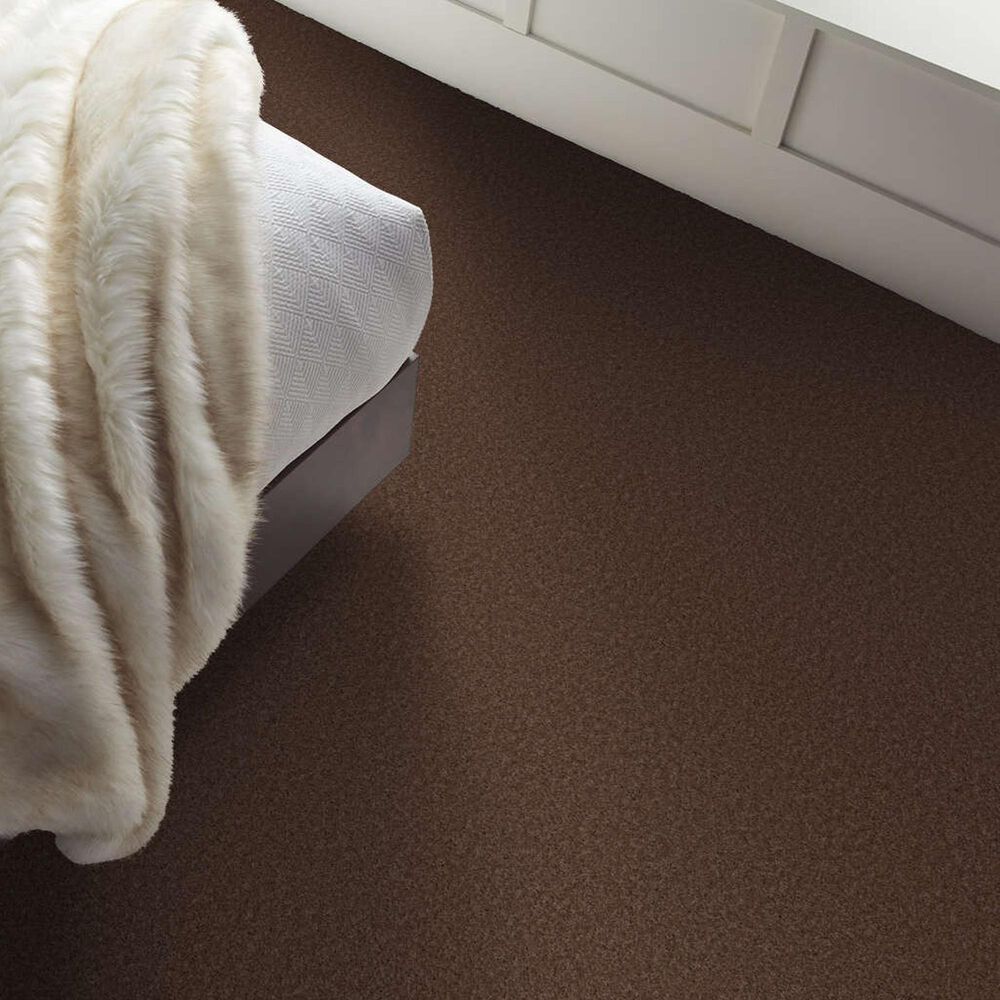 Shaw Las Cruces Carpet in Wood Grain, , large