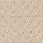 Shaw West Fork Carpet in Ivory, , large