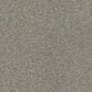 Anderson Tuftex Acadia Park Carpet in Elusive, , large