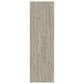Shaw Homeward Mellow Grey 9" x 60" Luxury Vinyl Plank, , large
