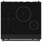 Thor Kitchen Gordon Ramsay Series 30" Professional Induction Range in Black, , large