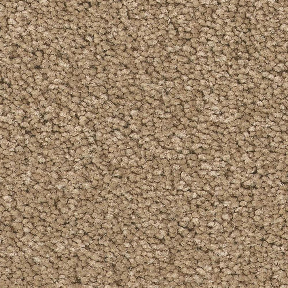 Anderson Tuftex Elegant Beauty Carpet in Natural, , large