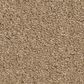 Anderson Tuftex Elegant Beauty Carpet in Natural, , large