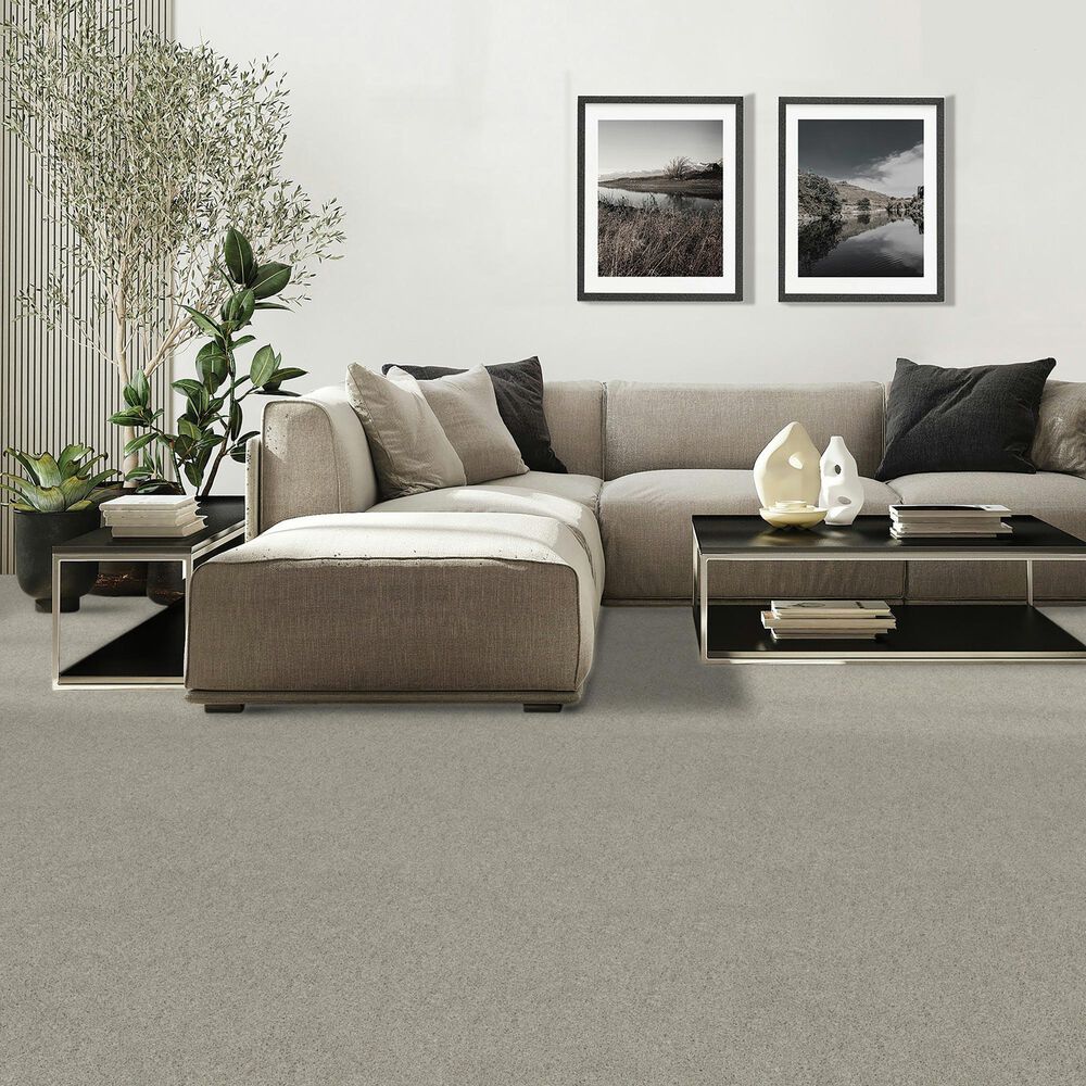 Mohawk Diffurent Choice II Carpet in Mercury, , large