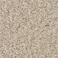 Shaw Tonal Comfort II Carpet in Happy Place, , large