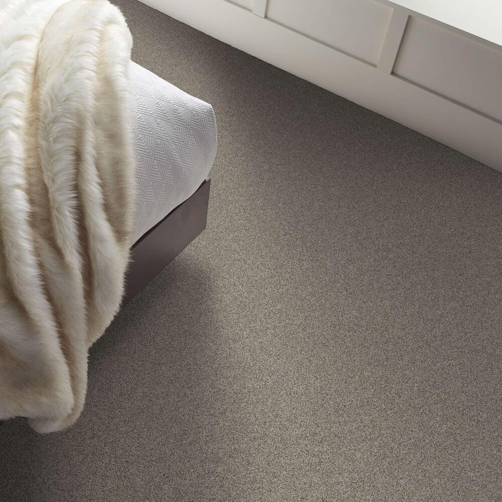Shaw Affirmation I Carpet in Bistro, , large