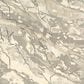 Oriental Weavers Anastasia 68008 5" x 8" Beige Area Rug, , large