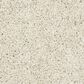 Mohawk Raise The Woof I Carpet in Haze, , large